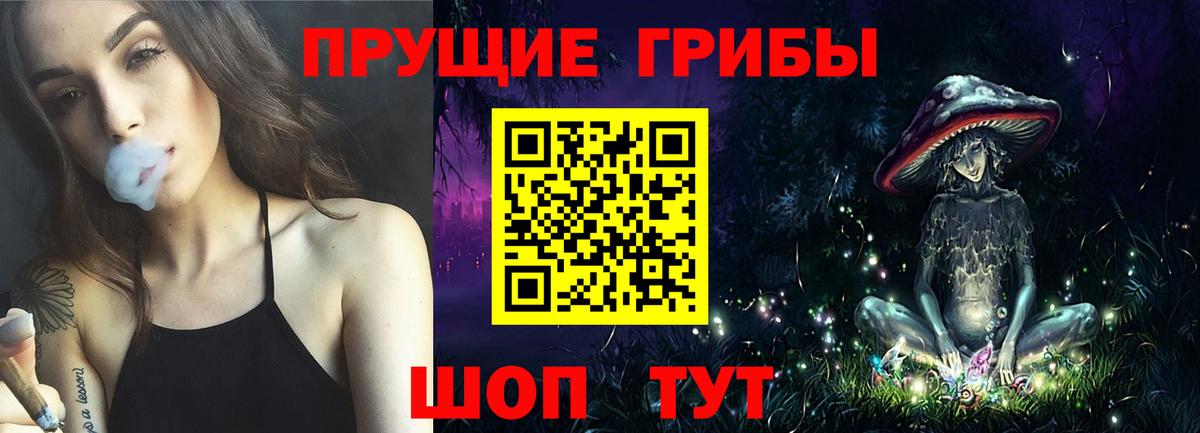 Псилоцибиновые грибы Cubensis Жуковский