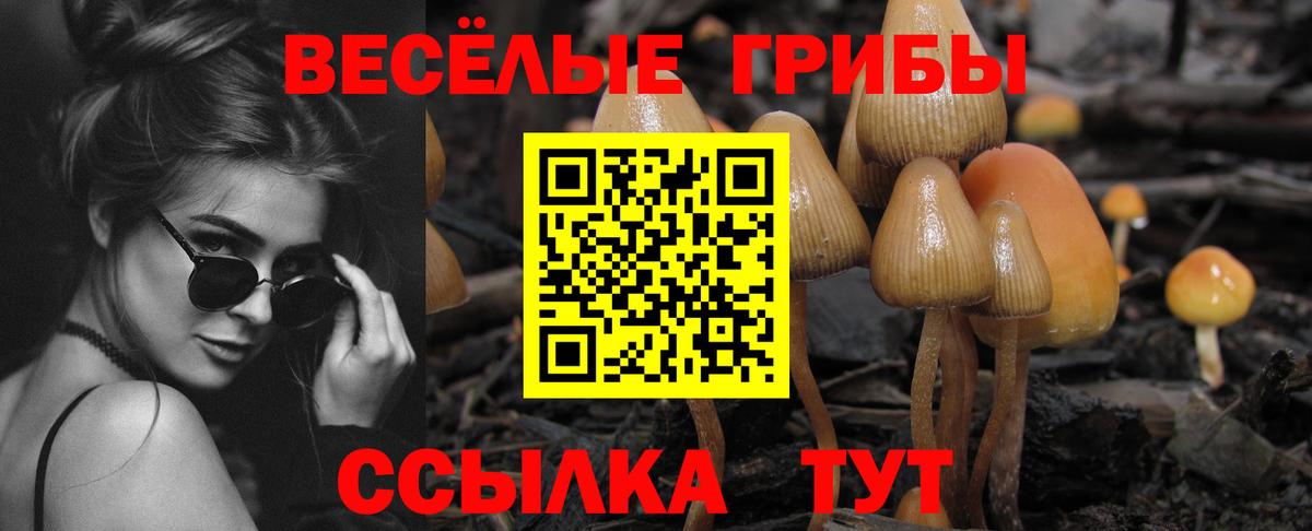 Жуковский  Псилоцибиновые грибы мицелий  Вход с VPN 