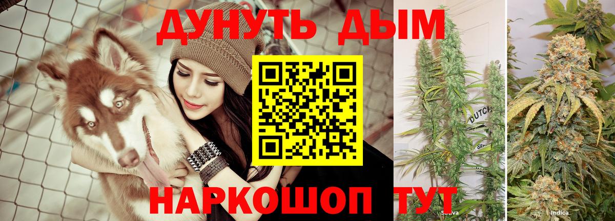Канабис гибрид Жуковский